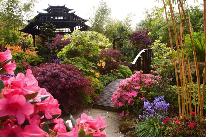  Open garden weekends at �Four Seasons� 26 Buchanan Road, Walsall WS4 2EN